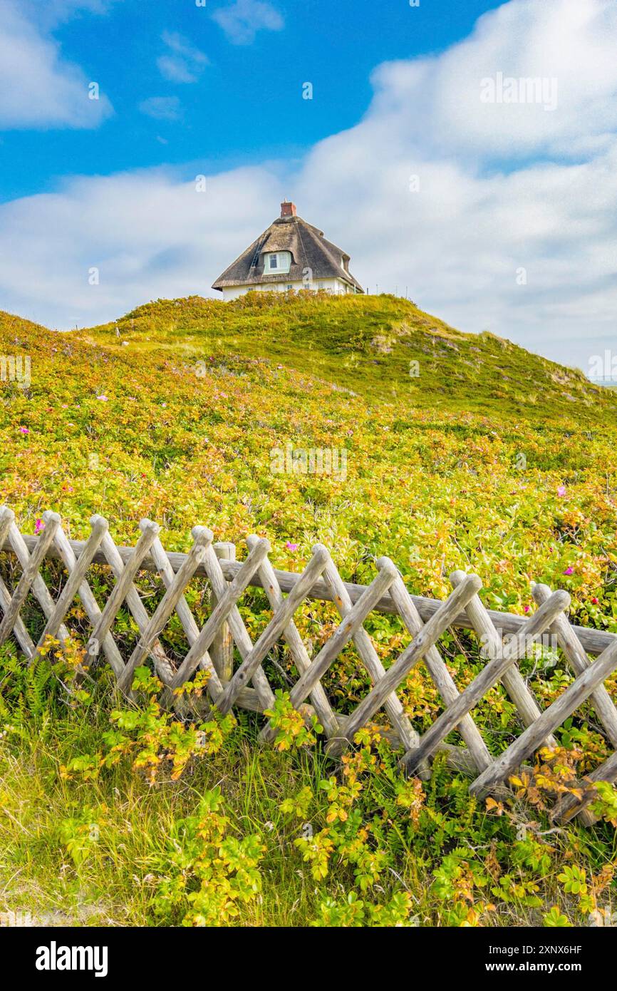 Villa con tetto in paglia, Kersig-Siedlung, Hoernum, Sylt Foto Stock