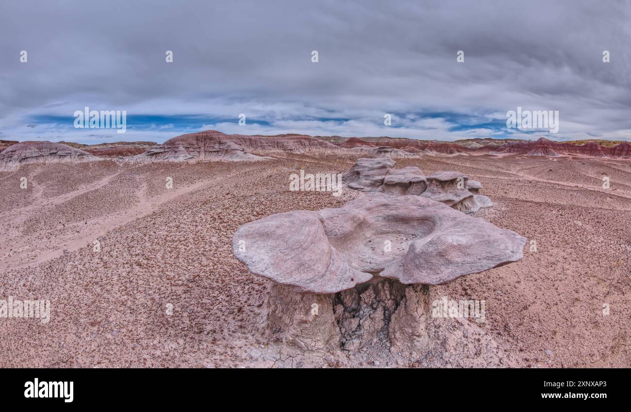 Arenaria che è stata erosa in forme che assomigliano a conchiglie di vongole all'estremità sud del Petrified Forest National Park, Arizona, Stati Uniti d'Amer Foto Stock