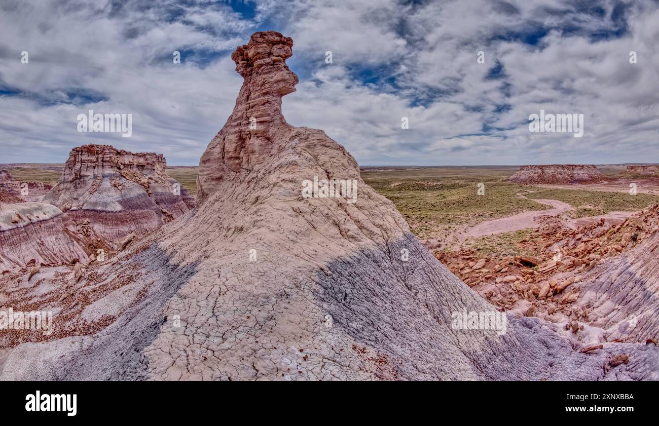 Una guglia hoodoo a forma di testa di cavallo, nella valle sotto la Blue Mesa del Petrified Forest National Park, Arizona, Stati Uniti d'America, North Ame Foto Stock