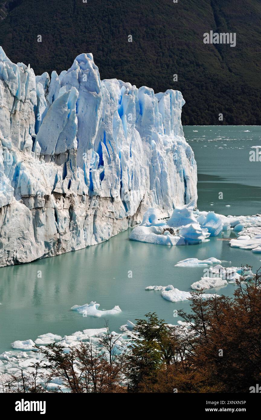 Ghiacciaio Perito Moreno, patrimonio dell'umanità dell'UNESCO, intorno a El Calafate, provincia di Santa Cruz, Patagonia, Argentina, copyright del Sud America: GOUPIxCHRIS Foto Stock