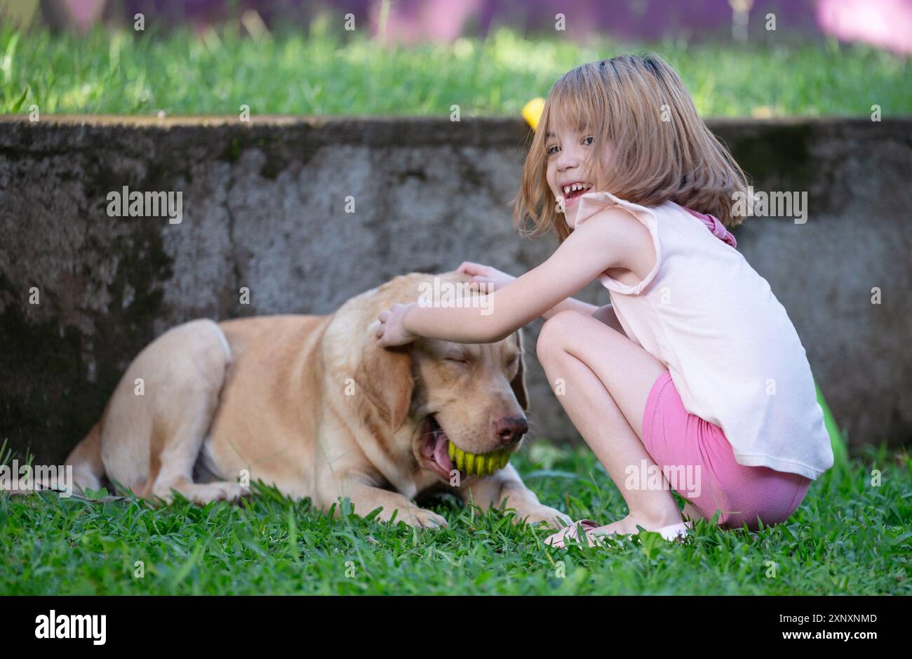 La bambina felice gioca con il cane labrador su sfondo verde Foto Stock