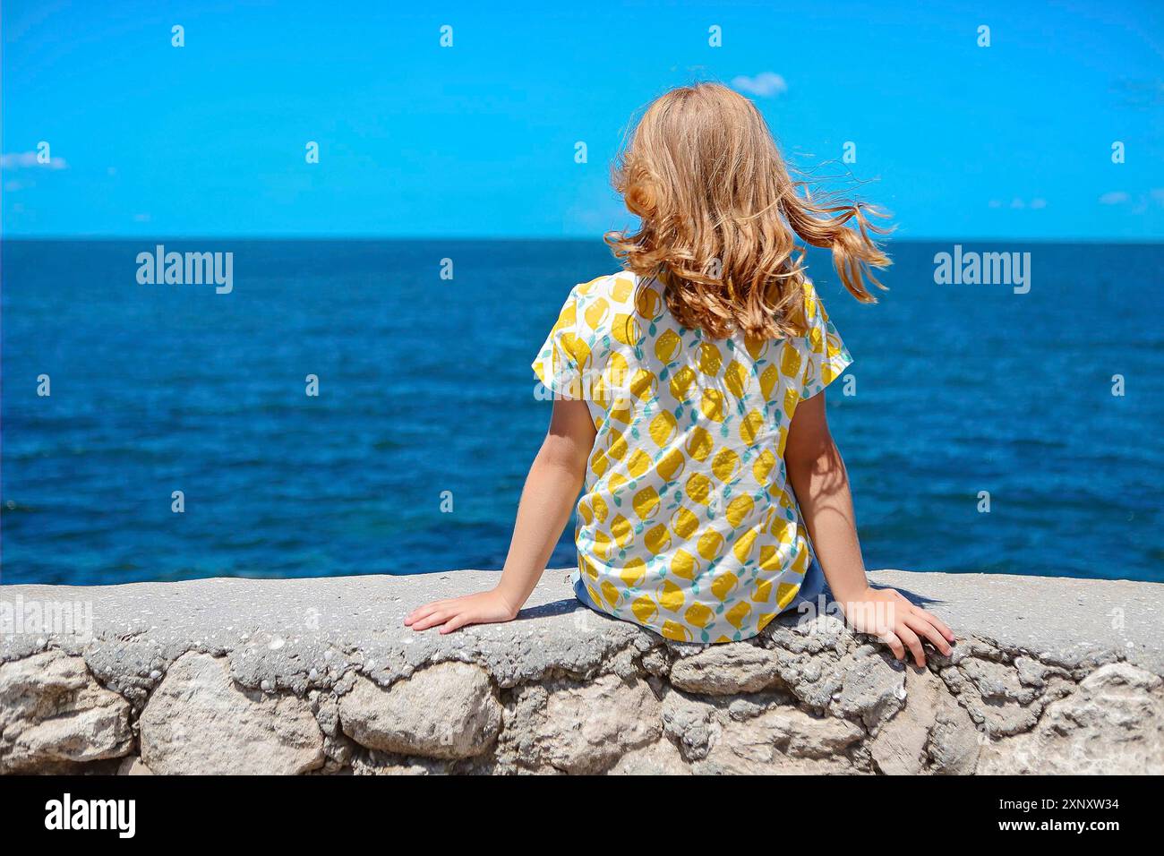 Vista posteriore della bambina in coloratissimo abbigliamento casual seduta su recinto di pietra e ammirando il mare blu nella soleggiata giornata estiva Foto Stock