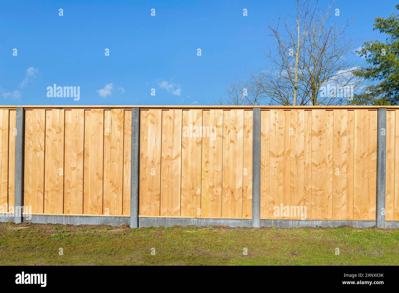 Costruito nuovo recinto orizzontale in legno nel cortile olandese Foto Stock