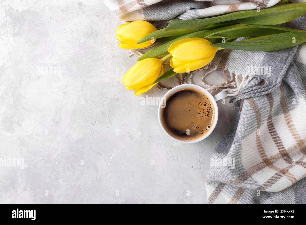 Tulipani gialli tazza di caffè e caldo plaid a scacchi su sfondo grigio pietra, vista dall'alto piano lay Copy Space Foto Stock