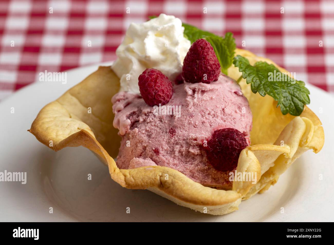 Gelato al lampone su un piatto bianco Foto Stock