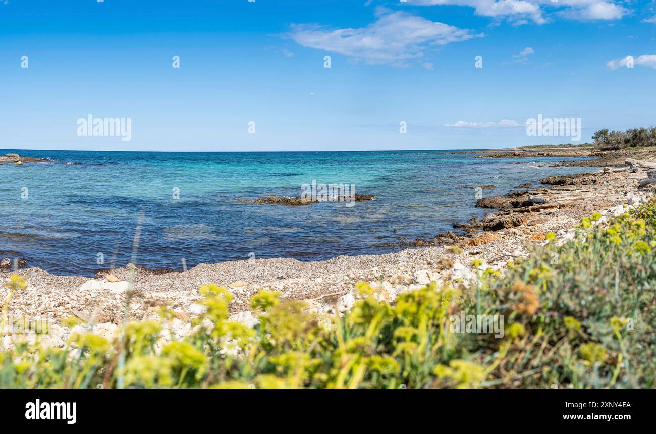 Escursione in spiaggia alla Torre Guaceto in Puglia attraverso la riserva naturale marittima Foto Stock