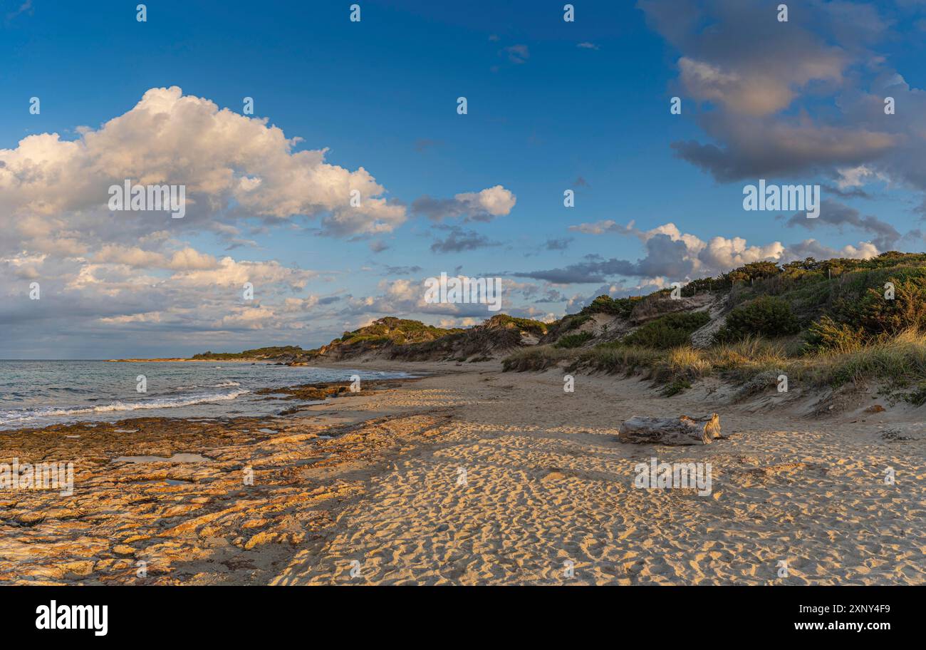 Escursione in spiaggia alla Torre Guaceto in Puglia attraverso la riserva naturale marittima Foto Stock