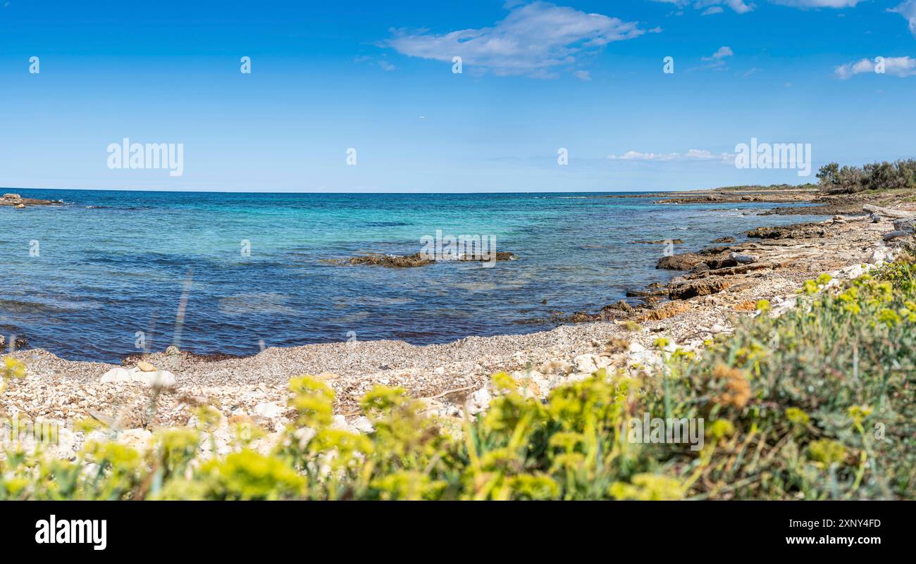 Escursione in spiaggia alla Torre Guaceto in Puglia attraverso la riserva naturale marittima Foto Stock