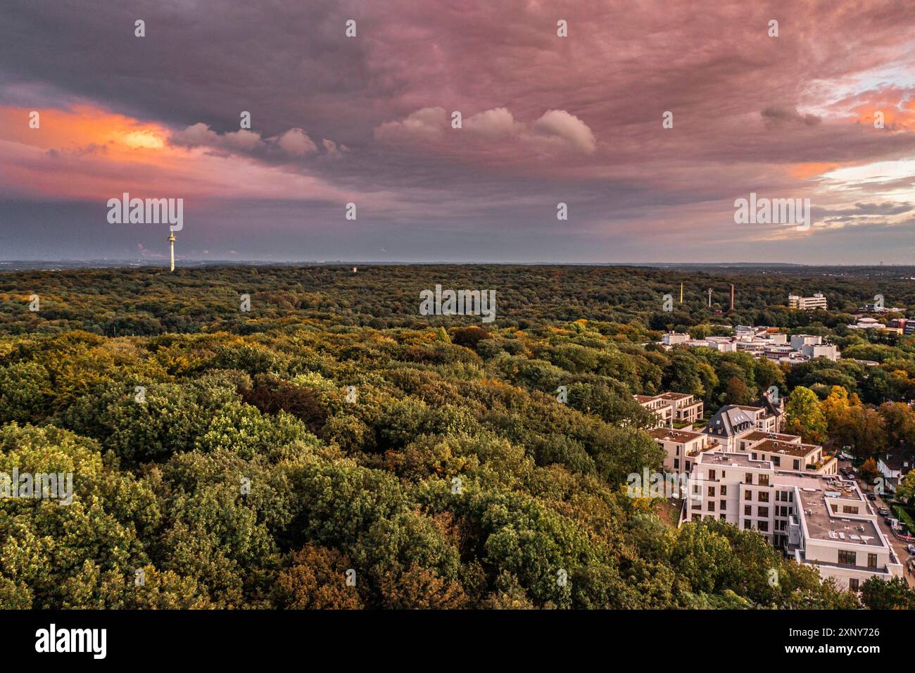 Romantico tramonto sullo skyline di Duisburg in autunno Foto Stock