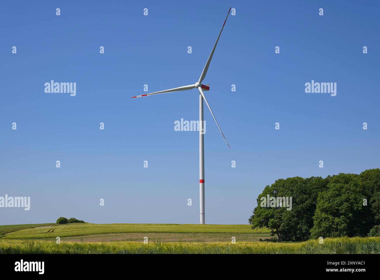 Turbina eolica alta con una torre sottile e tre pale rotore in piedi su un campo in un paesaggio rurale contro il cielo blu, energia rinnovabile Foto Stock