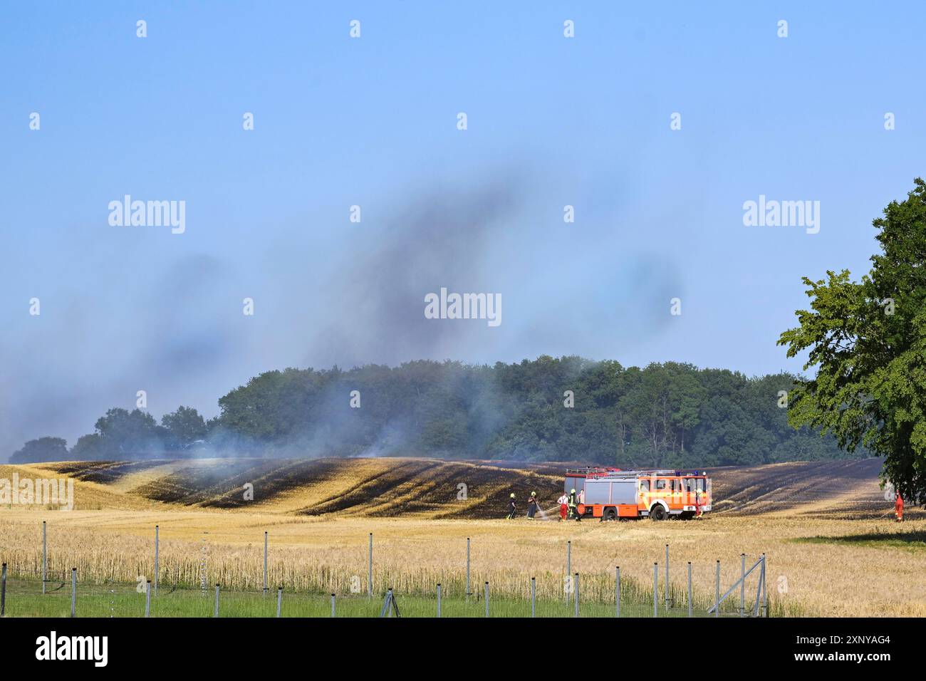 Le macchine antincendio e i vigili del fuoco smorzano l'incendio di un campo per proteggere l'area circostante in un paesaggio rurale, spazio di copia, fuoco selezionato Foto Stock