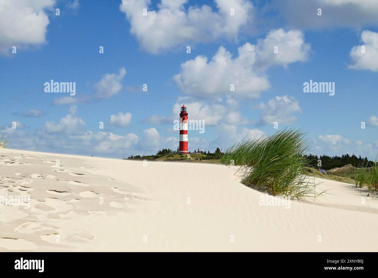 Faro di Amrum sulla grande duna, Wittduen, Amrum, Frisia settentrionale, Frisia settentrionale, Schleswig-Holstein, Germania Foto Stock