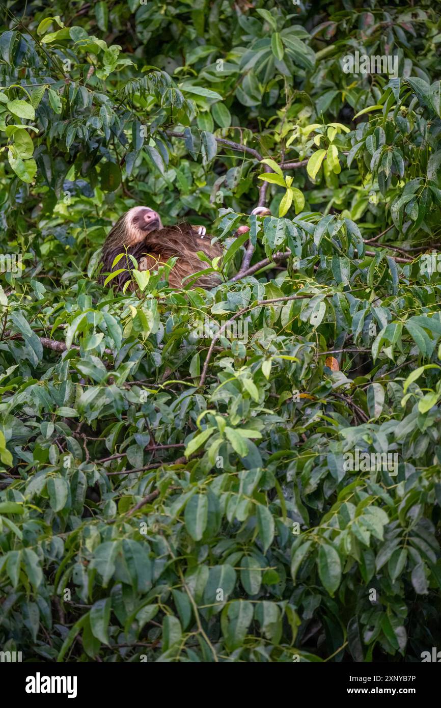 Uomo Che Dorme Nell'ombra A Zanzibar Immagine Stock Editoriale - Immagine Di Modo, Città: 110612574 - Foto 10