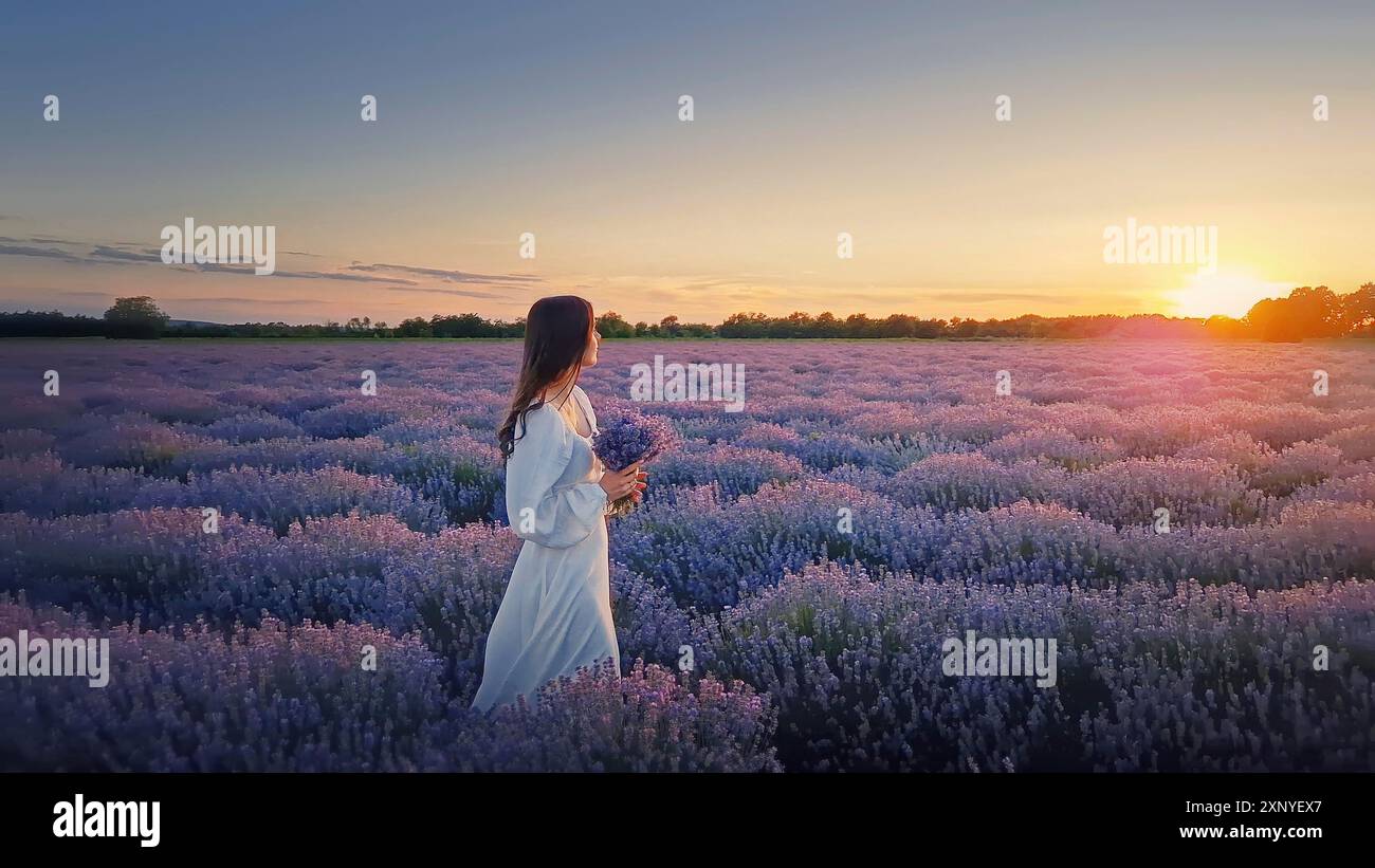 Pittoresca scena estiva con una giovane donna in abito bianco che cammina su un campo di lavanda al tramonto. Splendida sposa con fiori viola di lavandula Foto Stock