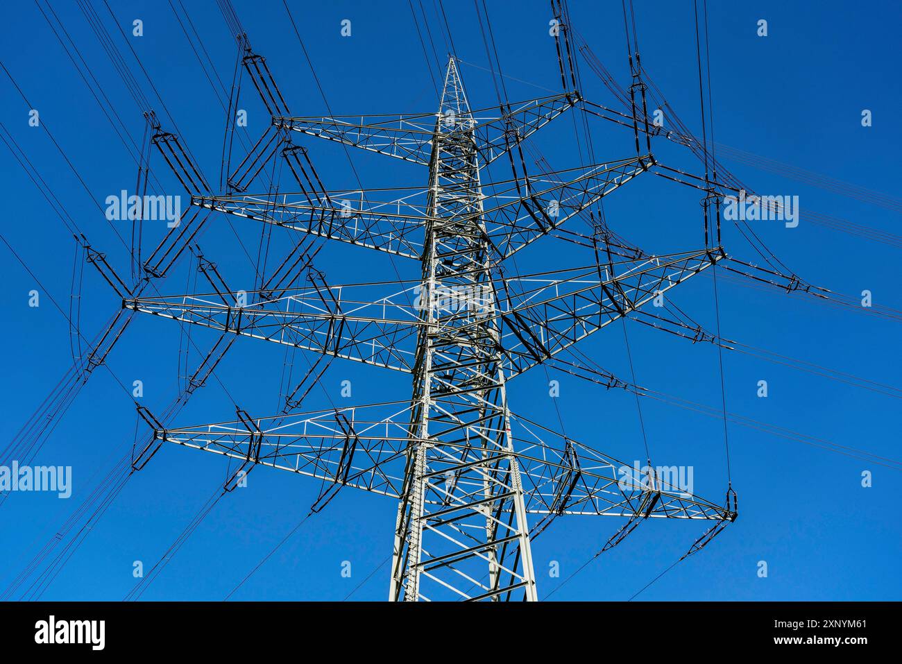 Tralicci ad alta tensione di 380 KV e 110 KV di linee ad alta tensione, a Herne, limiti della città di Gelsenkirchen, infrastrutture critiche Foto Stock