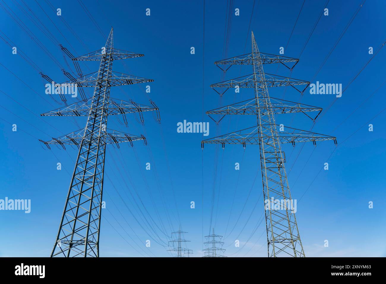 Tralicci ad alta tensione di 380 KV e 110 KV di linee ad alta tensione, a Herne, limiti della città di Gelsenkirchen, infrastrutture critiche Foto Stock