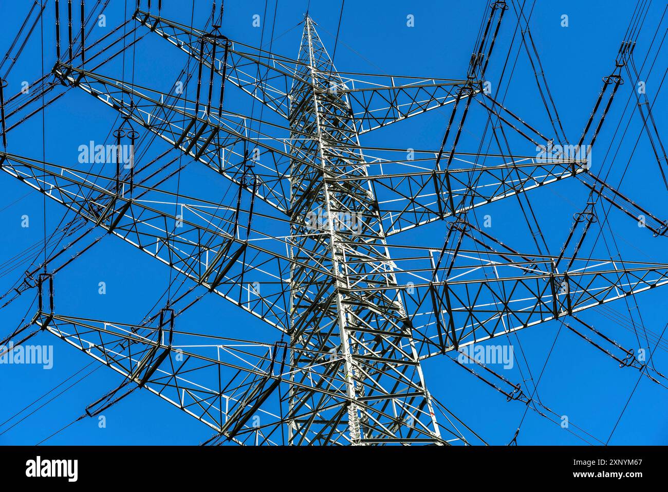 Tralicci ad alta tensione di 380 KV e 110 KV di linee ad alta tensione, a Herne, limiti della città di Gelsenkirchen, infrastrutture critiche Foto Stock
