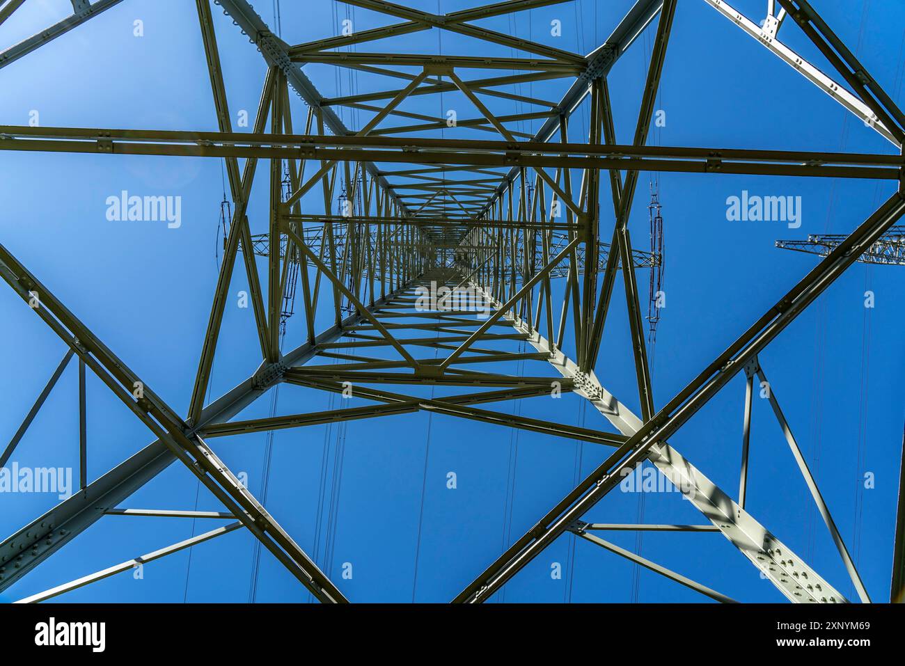 Tralicci ad alta tensione di 380 KV e 110 KV di linee ad alta tensione, a Herne, limiti della città di Gelsenkirchen, infrastrutture critiche Foto Stock