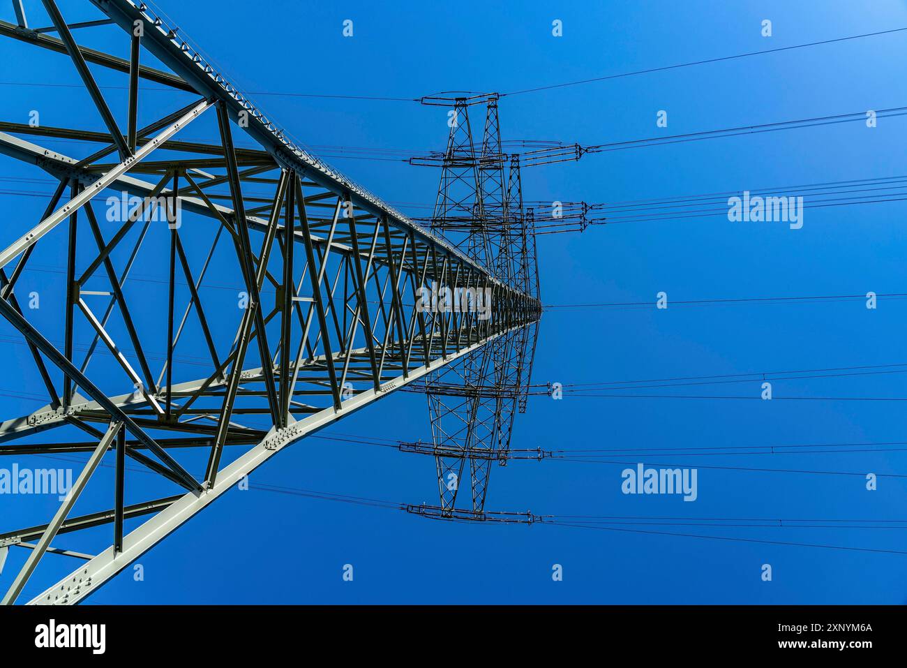 Tralicci ad alta tensione di 380 KV e 110 KV di linee ad alta tensione, a Herne, limiti della città di Gelsenkirchen, infrastrutture critiche Foto Stock