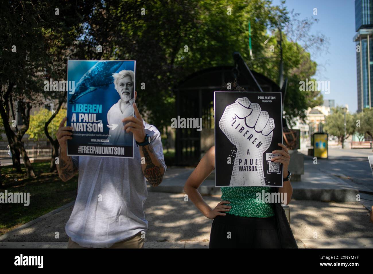 Madrid, Spagna. 2 agosto 2024. Protesta di fronte all'ambasciata danese a Madrid per chiedere il rilascio urgente dell'attivista anti-baleniera Paul Watson. Il fondatore dell'organizzazione Sea Shepherd è stato arrestato il 21 luglio dalla polizia danese in Groenlandia e rischia di essere estradato in Giappone, dove avrebbe potuto trascorrere fino a 15 anni di prigione. Foto Stock