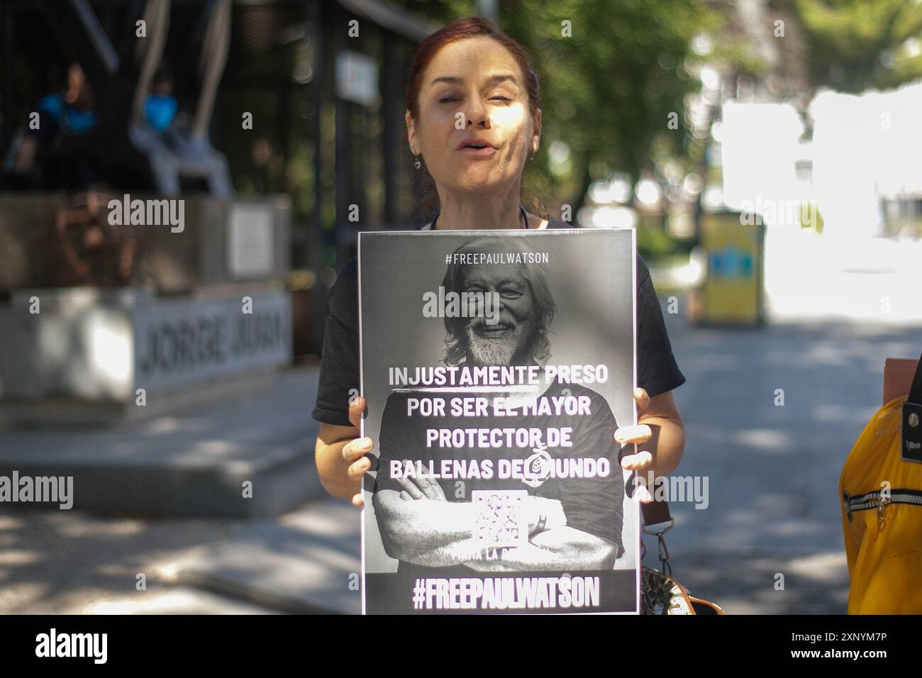 Madrid, Spagna. 2 agosto 2024. Protesta di fronte all'ambasciata danese a Madrid per chiedere il rilascio urgente dell'attivista anti-baleniera Paul Watson. Il fondatore dell'organizzazione Sea Shepherd è stato arrestato il 21 luglio dalla polizia danese in Groenlandia e rischia di essere estradato in Giappone, dove avrebbe potuto trascorrere fino a 15 anni di prigione. Foto Stock