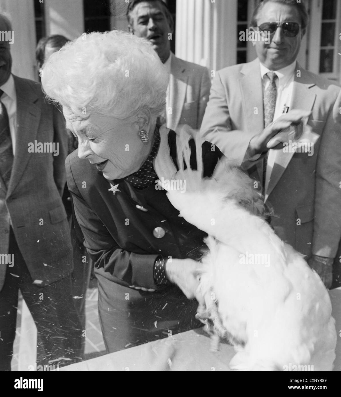 Austin Texas USA, 1992: Il governatore del Texas ANN RICHARDS viene colpito in faccia da una turchia volante del Texas durante una cerimonia alla Texas Governor's Mansion di Austin. ©Bob Daemmrich Foto Stock