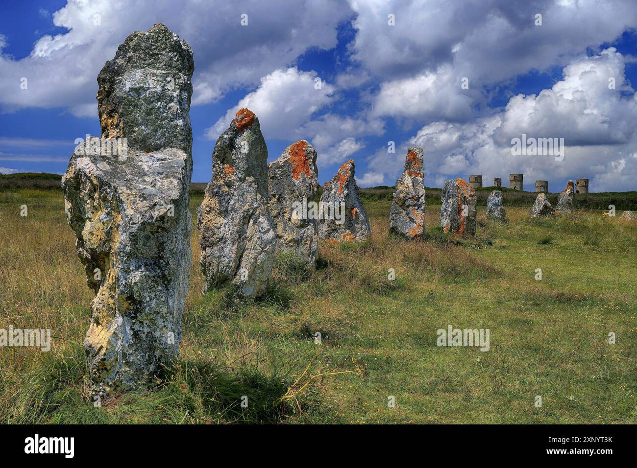 Francia, Bretagna, Camaret sur Mer, Bretagna, Francia Foto Stock