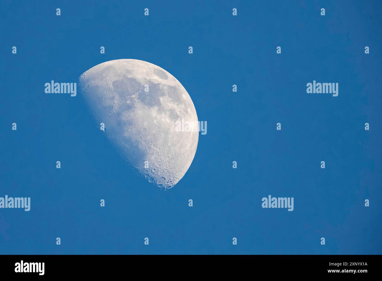 Luna, tre quarti di luna in cera, Wagbachniederung, Baden-Wuerttemberg, Germania Foto Stock