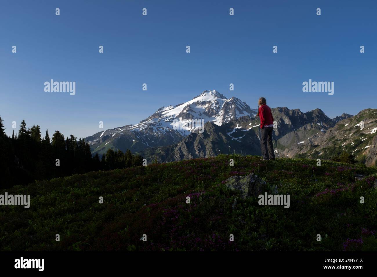 WA24973-00....WASHINGTON - Woman Viewing Glacier Peak da una collina a nord del Red Pass, Glacier Peak Wilderness, Mount Baker Snoqualmie National for Foto Stock
