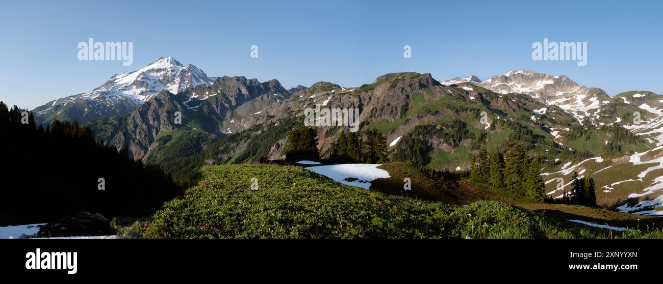 WA24974-00....WASHINGTON - Glacier Peak da una collina a nord del Red Pass, Glacier Peak Wilderness, Mount Baker Snoqualmie National Forest. Foto Stock