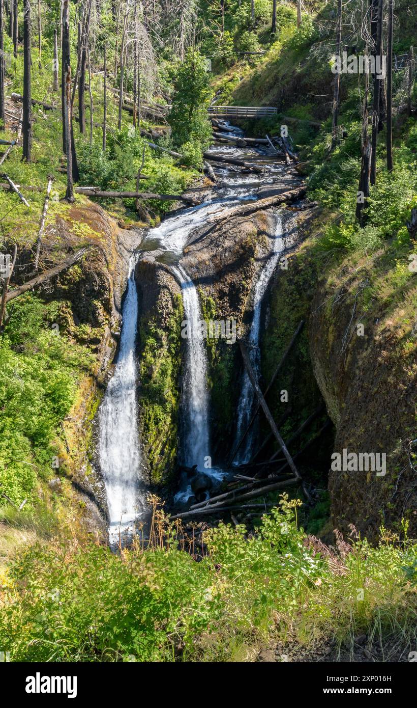 Tripple Falls, contea di Multnomah, Oregon USA Foto Stock