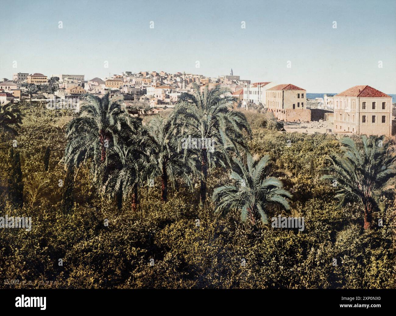 Jaffa, Palestina, Terra Santa, stampa fotocromata intorno al 1890 Foto Stock