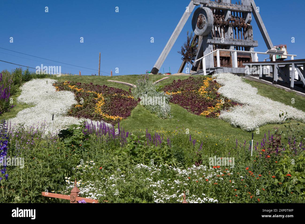 I fiori paesaggistici creano un'immagine a farfalla sul prato di fronte a un vecchio mulino californiano a due batterie, Old Lexington Gardens, Butte, Montana. Foto Stock