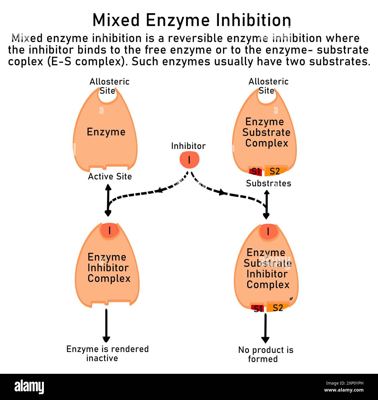 Inibizione enzimatica mista, illustrazione. L'inibizione enzimatica mista è un tipo di inibizione enzimatica reversibile in cui l'inibitore può legarsi all'enzima libero (e) o al complesso enzimatico-substrato (ES) e arrestare la catalisi. Foto Stock