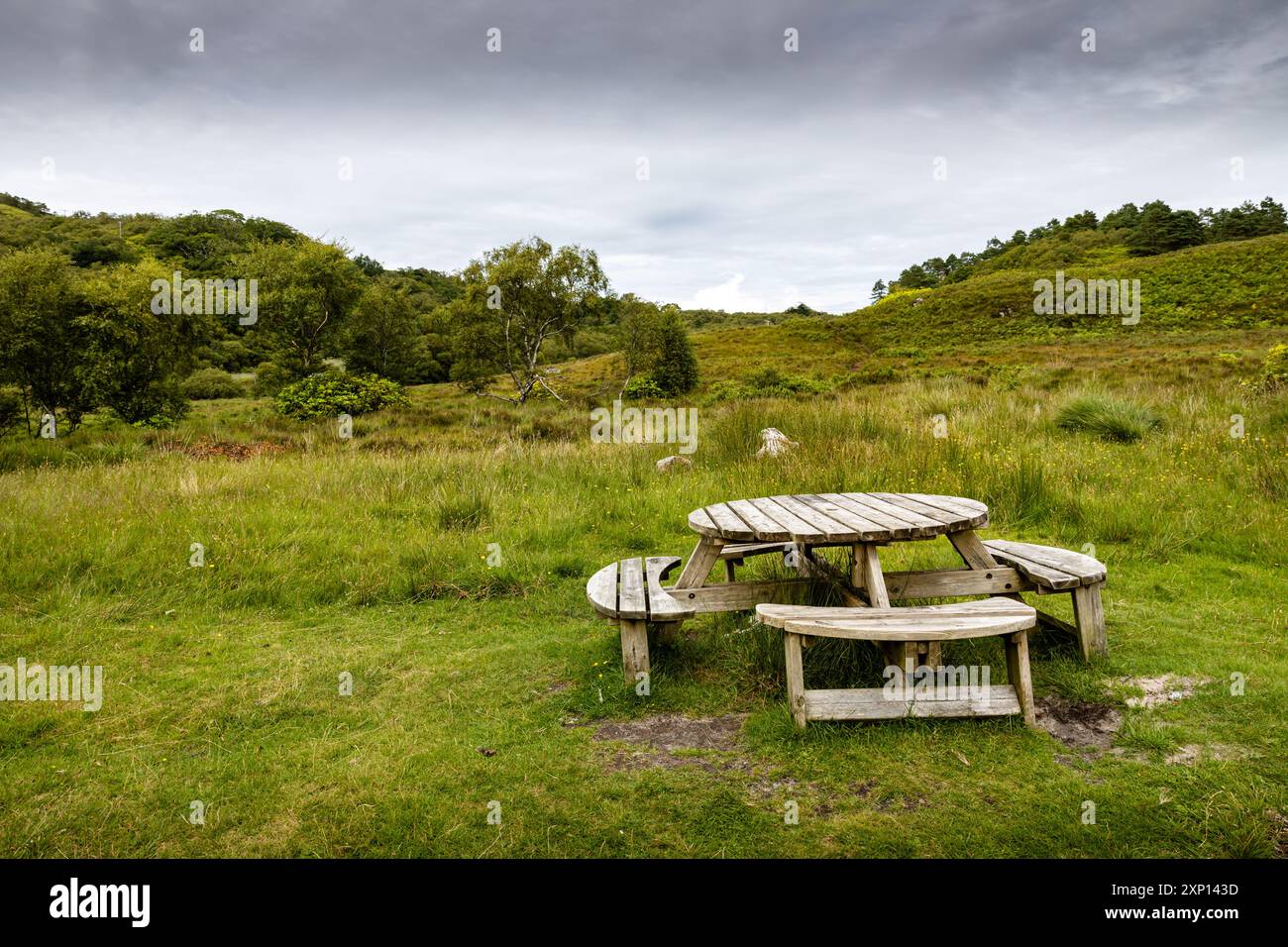 Tavoli da picnic in legno a panchina rotondi posti a sedere in campagna, circondati da erba con alberi e arbusti sullo sfondo, senza persone Foto Stock