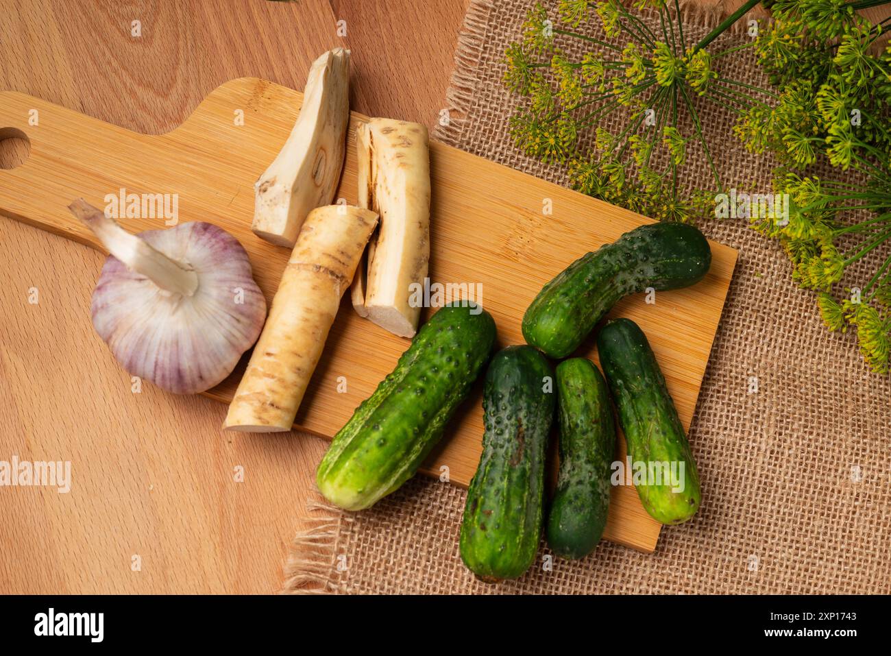 Preparazione per la fermentazione dei cetrioli mediante un processo di decapaggio denominato fermentazione dell'acido lattico. Tali cetrioli fermentati hanno una lunga durata di conservazione e lo sono Foto Stock