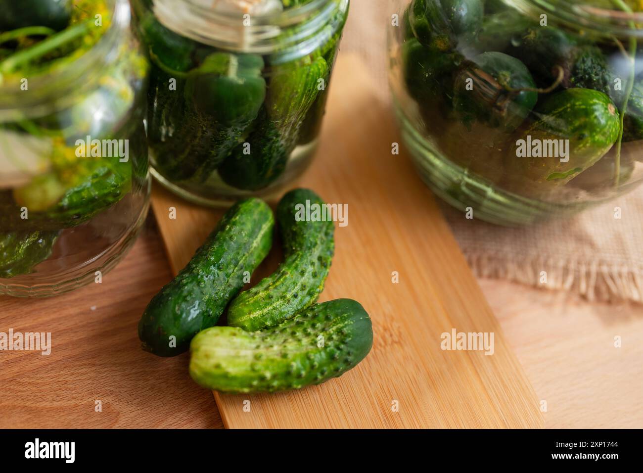 Preparazione per la fermentazione dei cetrioli mediante un processo di decapaggio denominato fermentazione dell'acido lattico. Tali cetrioli fermentati hanno una lunga durata di conservazione e lo sono Foto Stock