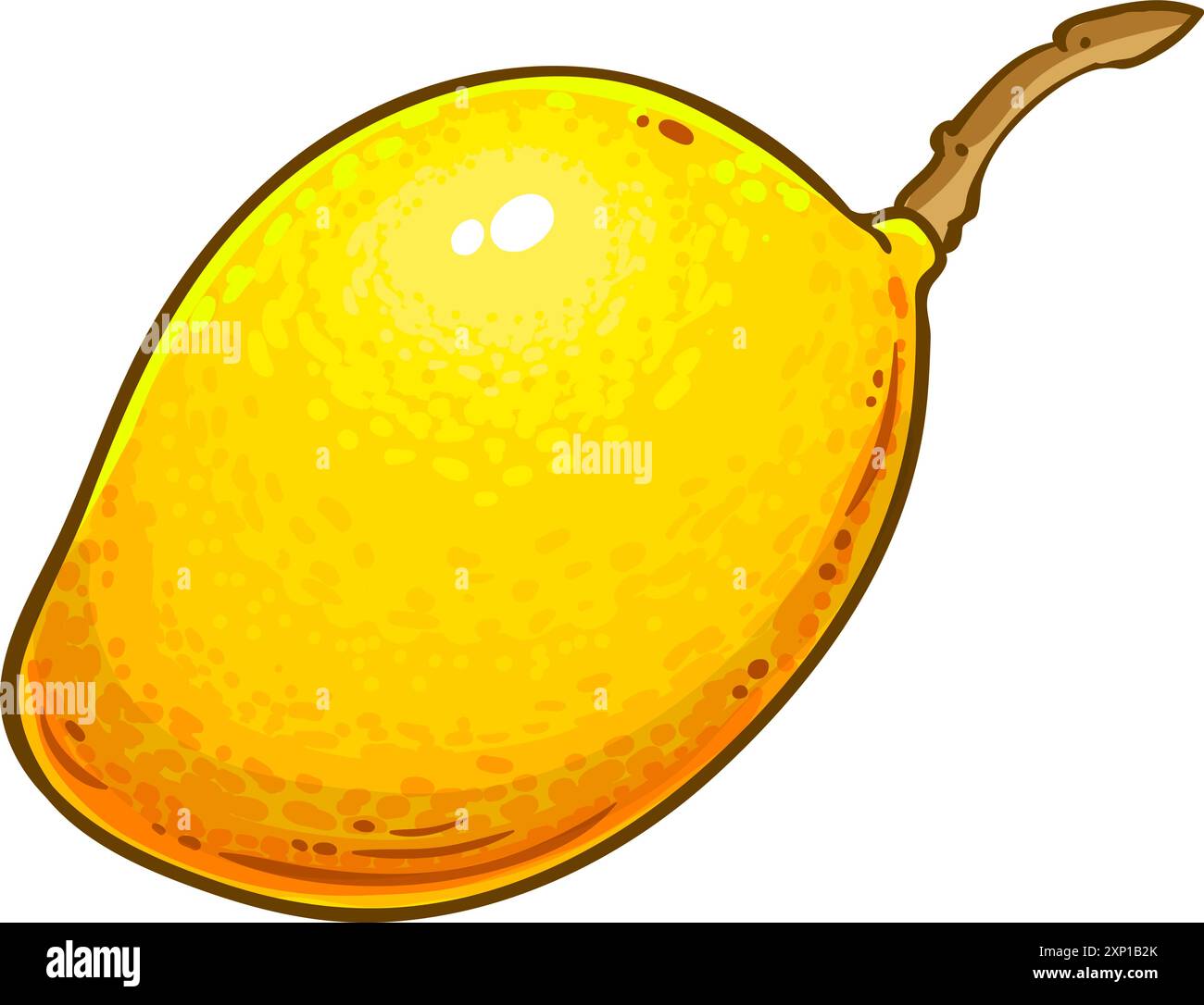 Illustrazione dettagliata colorata dei frutti di mango. Illustrazione Vettoriale