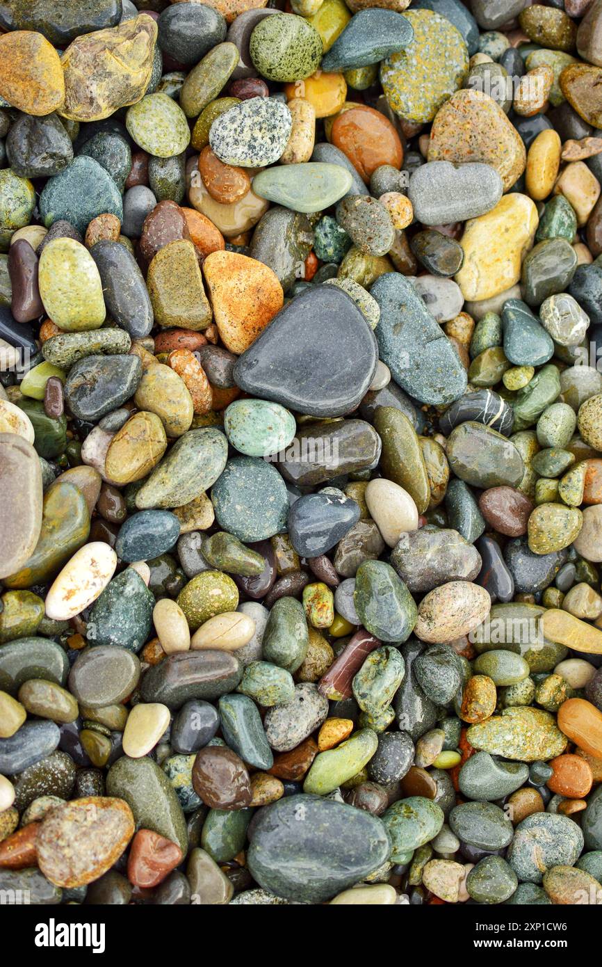 Colorate i ciottoli sulla spiaggia. Sfondo con pietre bagnate. Foto Stock