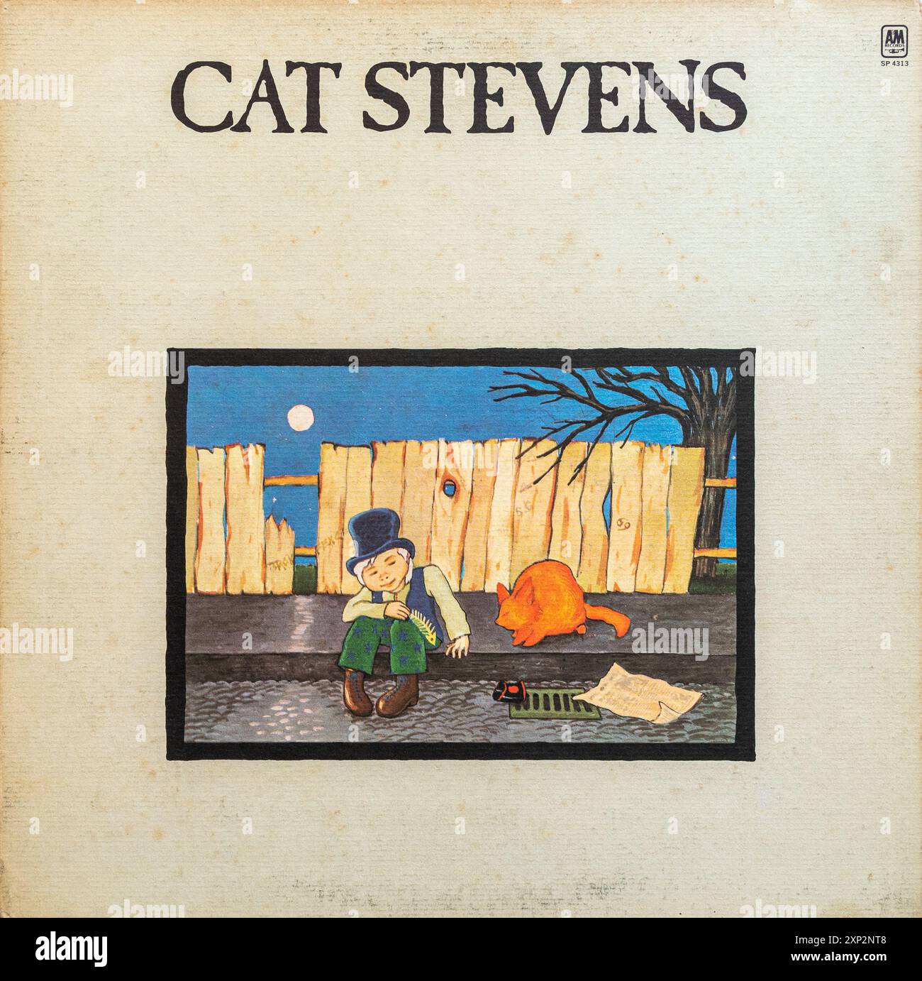 Cat Stevens album Cover Teaser and the Firecat, copertina LP in vinile Foto Stock