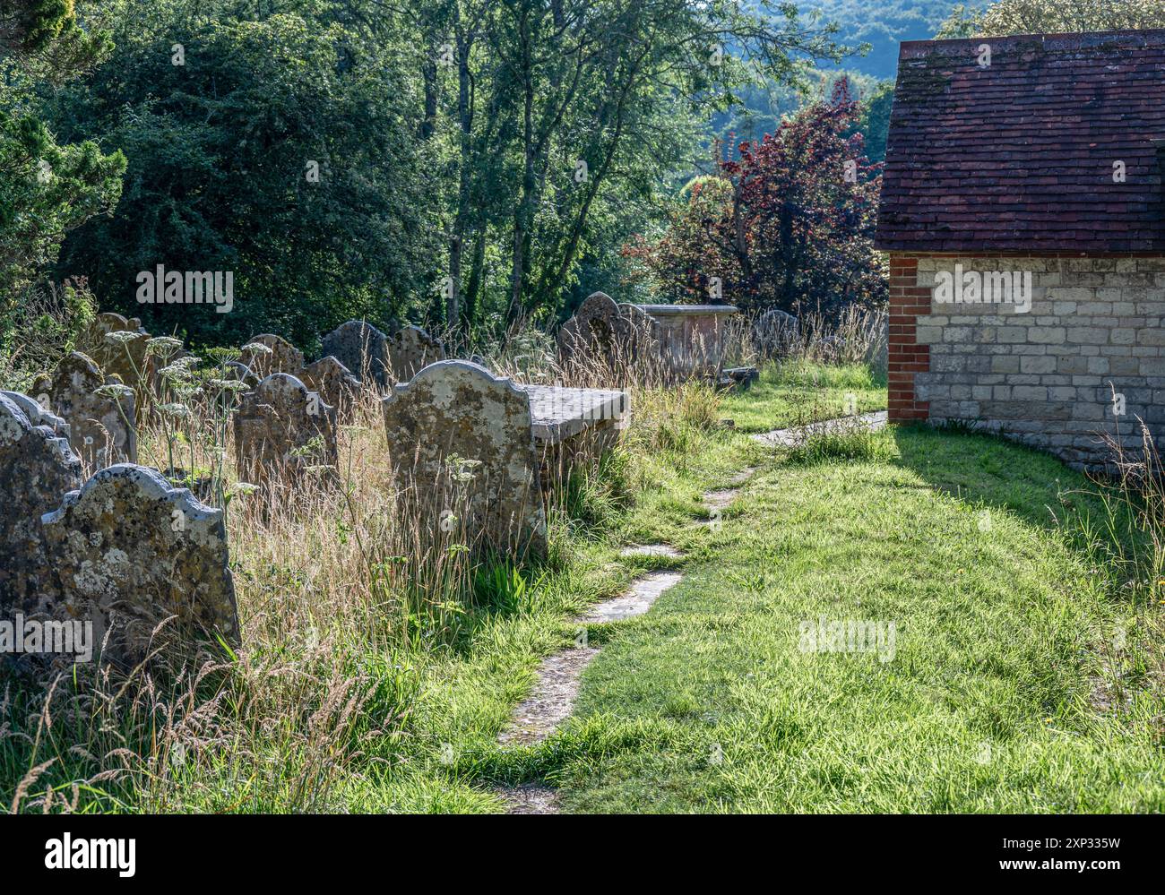 Un sentiero lungo la chiesa di St. Mary a Buriton, Hampshire, con erba lunga tra le lapidi. Foto Stock
