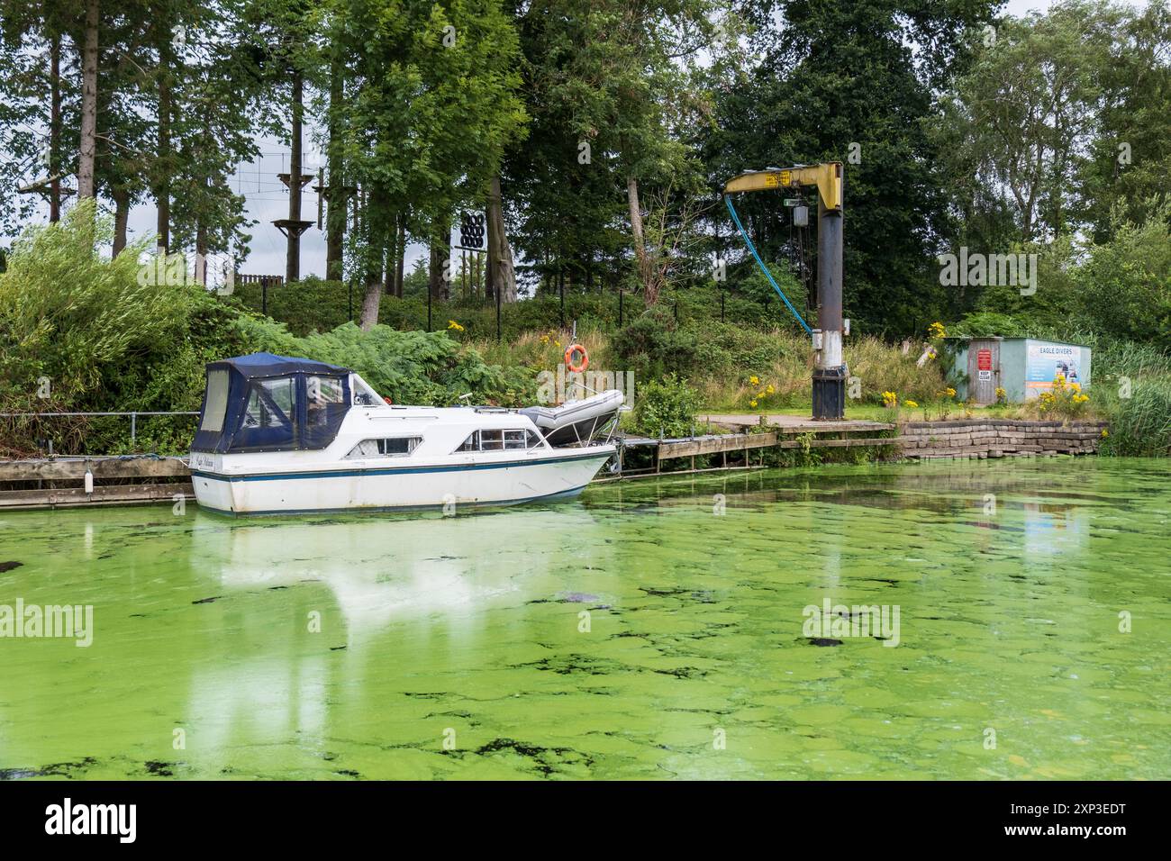 Antrim, Irlanda del Nord - 3 agosto 2024: Barca bianca sulla riva del fiume vicino alla gru, con le alghe Blue Green che fioriscono, causando un esteso inquinamento idrico locale Foto Stock