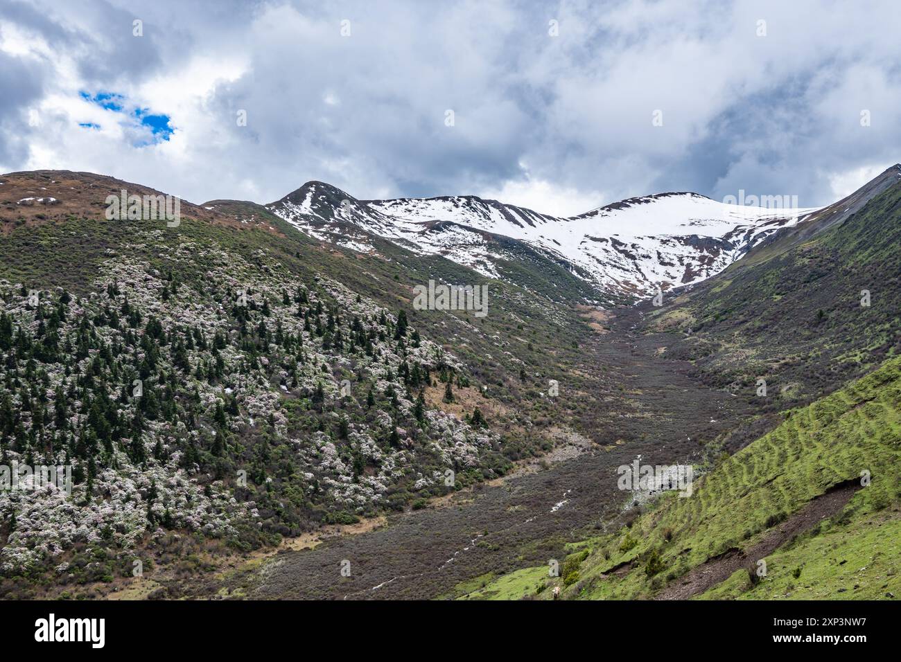 Paesaggio della regione montuosa del Sichuan occidentale, Cina. Foto Stock