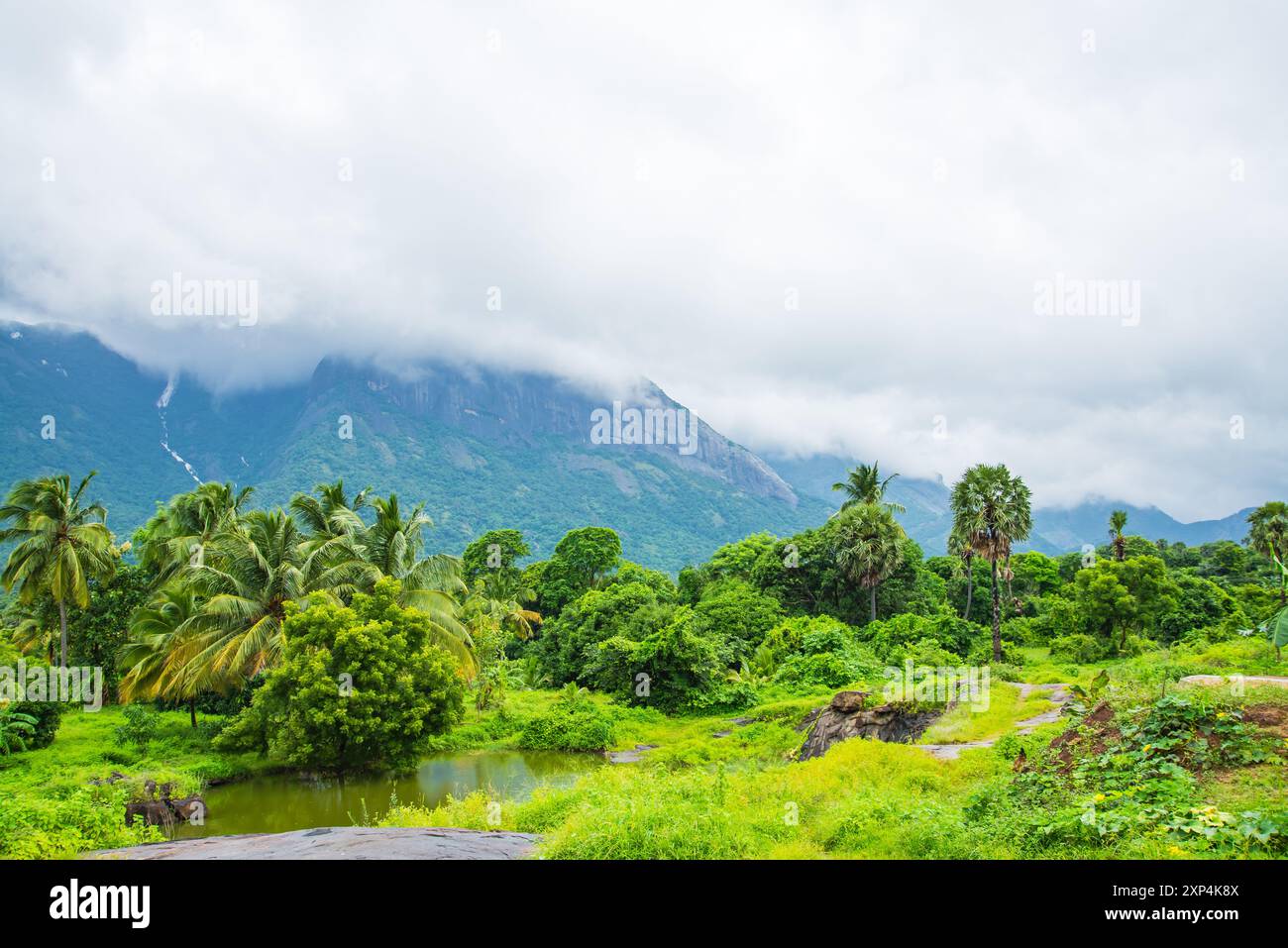 Villaggio di Kollengode con i Monti Nelliyampathy e le cascate di Seetharkundu - Turismo del Kerala Foto Stock