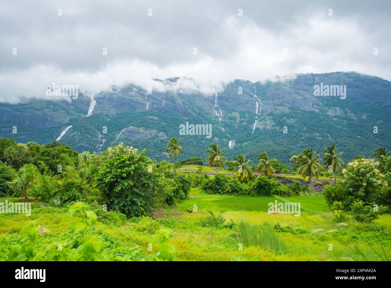 Affascinante strada del Villaggio di Kollengode con le montagne Nelliyampathy e le cascate di Seetharkundu - Turismo del Kerala Foto Stock