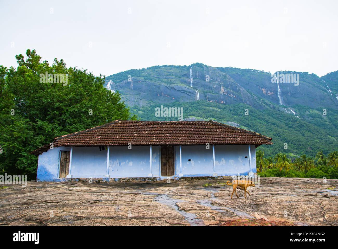 Peringottucheri Kalam, Kollengode con i monti Nelliyampathy e le cascate Seetharkundu - Kerala Tourism Foto Stock