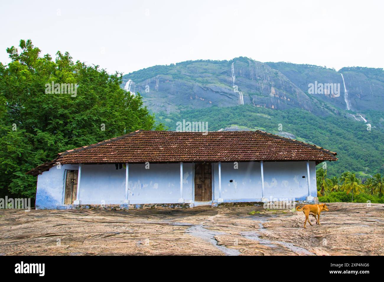 Peringottucheri Kalam, Kollengode con i monti Nelliyampathy e le cascate Seetharkundu - Kerala Tourism Foto Stock