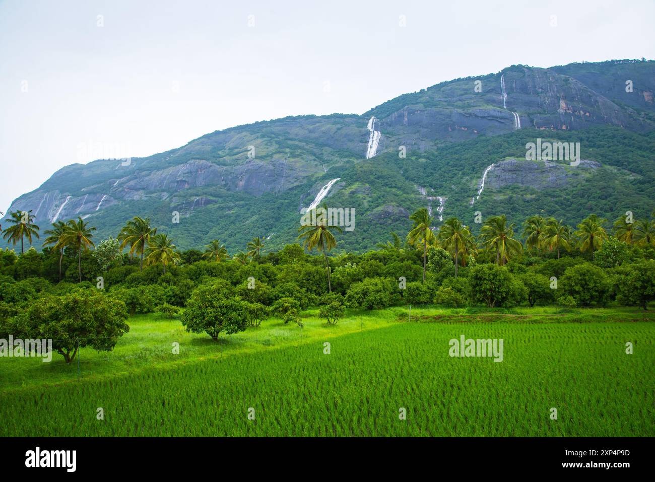 Villaggio di Kollengode con i Monti Nelliyampathy e le cascate di Seetharkundu - Turismo del Kerala Foto Stock