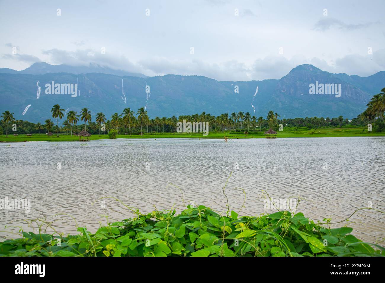 Paesino panoramico di Kollengode con le montagne Nelliyampathy e le cascate di Seetharkundu - Turismo del Kerala Foto Stock