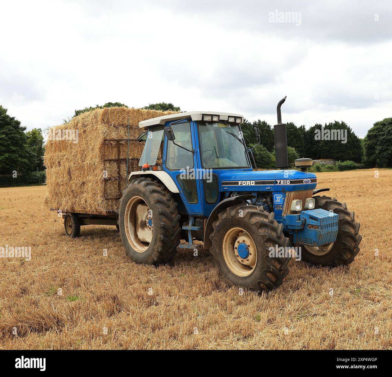 Stroud, Regno Unito, 6 agosto 2024. È ora di raccolta estiva per gli agricoltori del Gloucestershire, che utilizzano i loro trattori e rimorchi per radunarsi nelle balle. Foto Stock